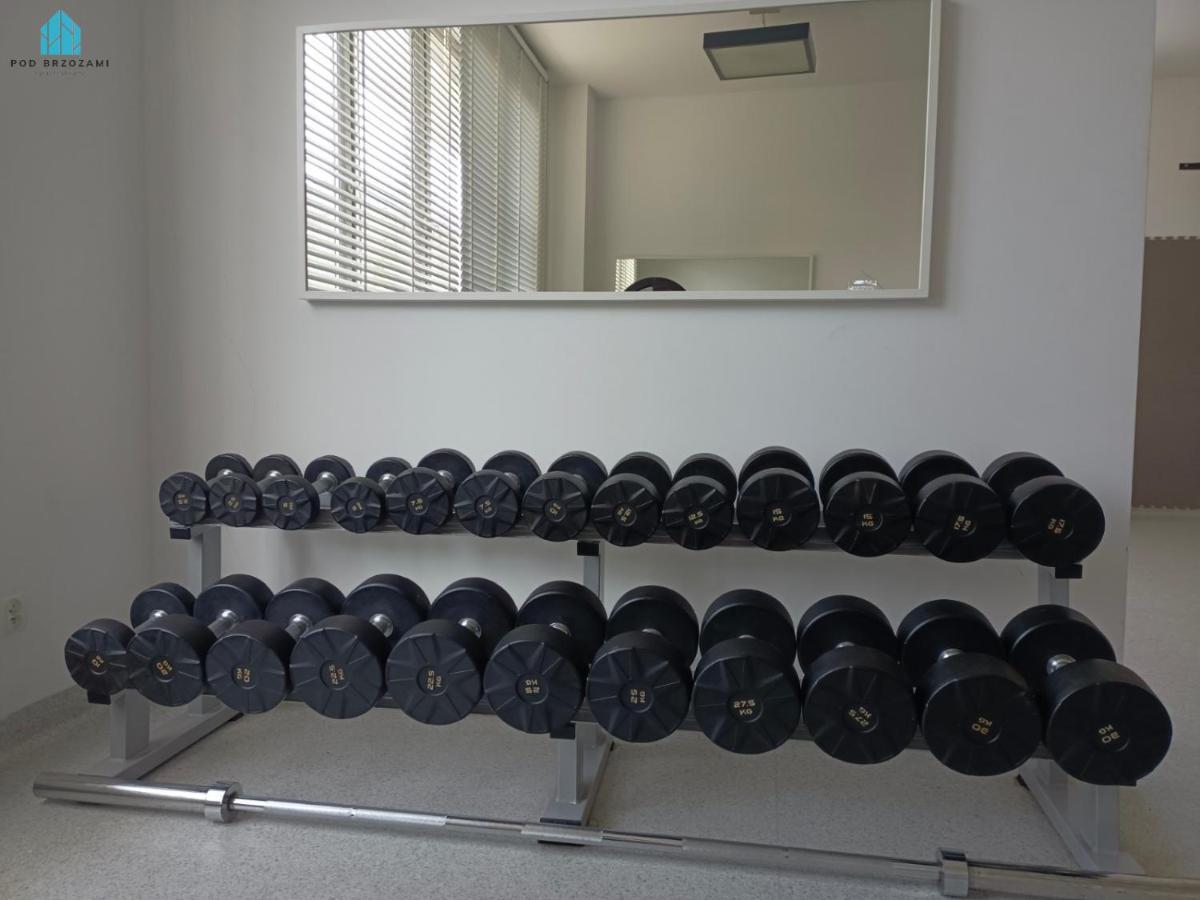 Apartamento Pod Brzozami *