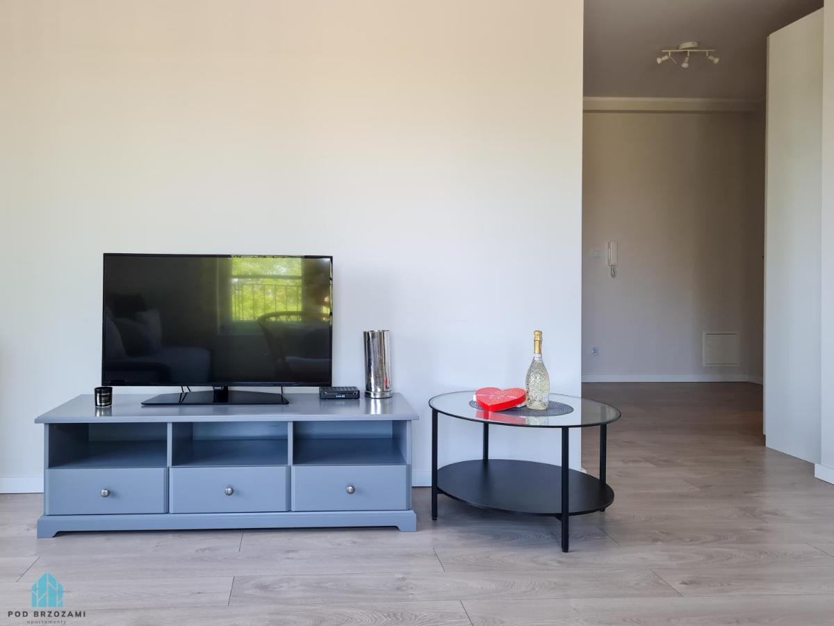 Pod Brzozami Apartamento